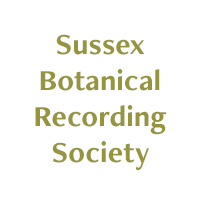 Sussex Botanical Recording Society